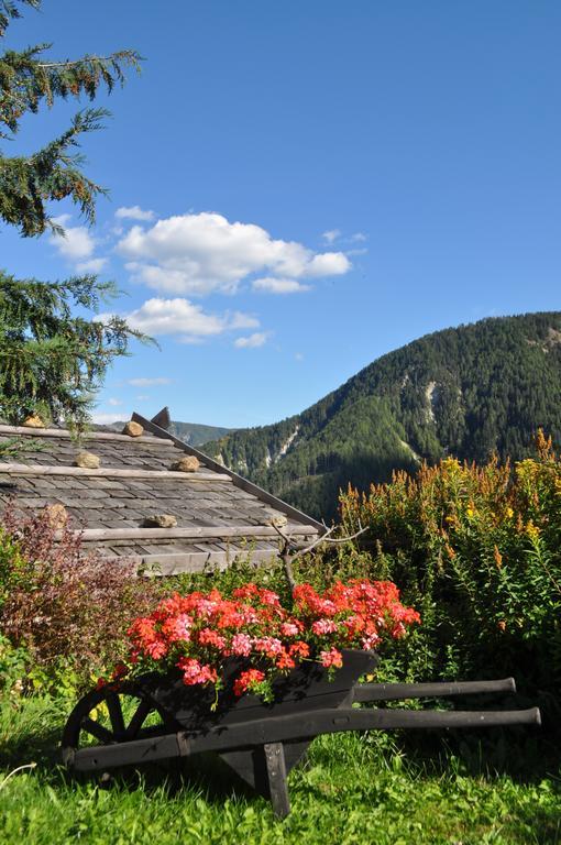 Hofstatthof Villa Campo di Trens Bagian luar foto